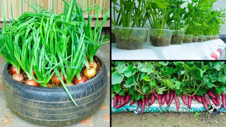 This simple method transforms tiny spaces into lush organic gardens…