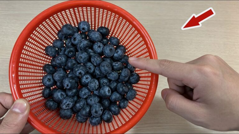 Stop Washing Blueberries! 5 Surprising Tips for the Best Flavor and Freshness