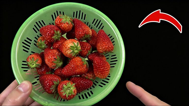 7 Proven Steps to Wash Strawberries Like a Pro for Maximum Freshness! 🍓✨