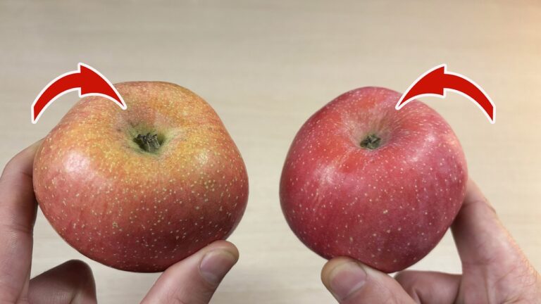 3 Key Tips for Picking the Perfect Crisp and Sweet Apples! 🍏✨