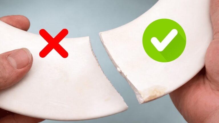 5 Brilliant Ways to Repurpose Broken Plastic You Won’t Believe!