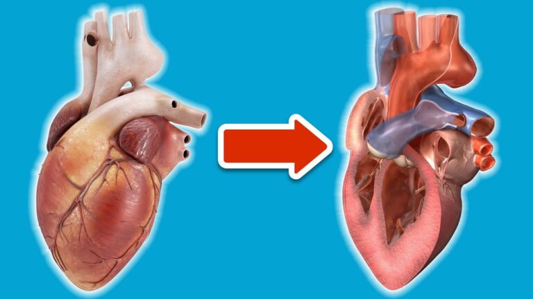 6 Unusual Signs of Heart Disease You Must Know Now! 🚨 Find Out What They Are!
