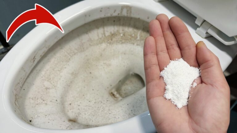5 Genius Alternatives to Toilet Cleaners You’ll Love Forever!