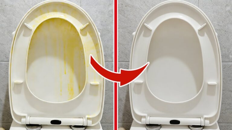 5 Secrets Hotel Cleaners Use to Make Toilet Seats Sparkle White Instantly!