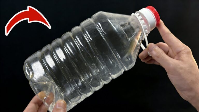 Unlock 7 Unique Uses for Empty Oil Bottles That Will Surprise You!