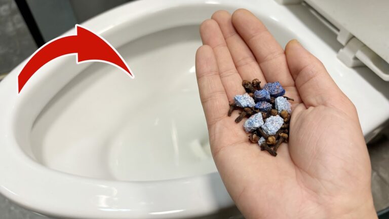 Transform Your Toilet Cleaning Routine: 5 Surprising Tips for a Month of Freshness!