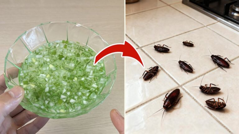 Say Goodbye to Roaches: 7 Simple & Safe Tricks for Instant Results!