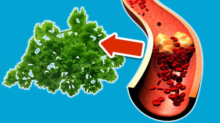 4 Foods to Naturally Cleanse Your Blood for Better Health!