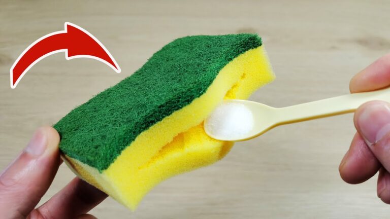 7 Incredible Ways to Reuse Your Sponge That You Didn’t Know About!