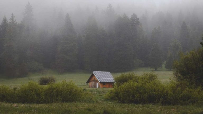 Living Off the Grid: The Surprising Reason Behind This Tiny Home