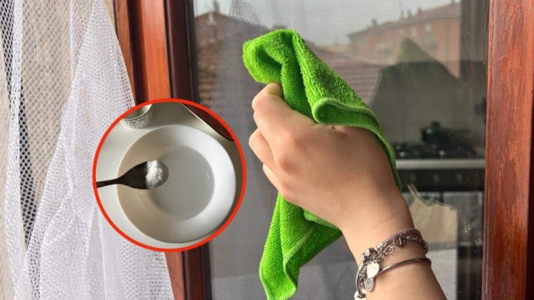 The Secret to Streak-Free Glass Cleaning Like a 5-Star Hotel