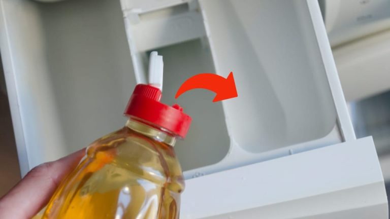 Apple Cider Vinegar in Your Washing Machine: Here’s Why You Should Use It