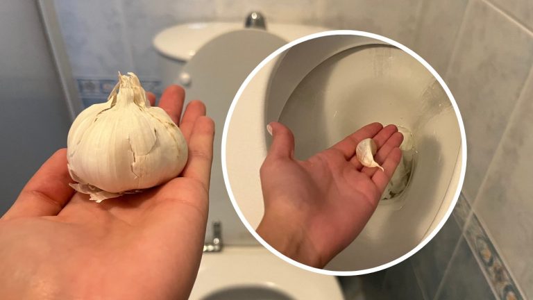 Drop Garlic Cloves in the Toilet Before Bed: Here’s What Happens!