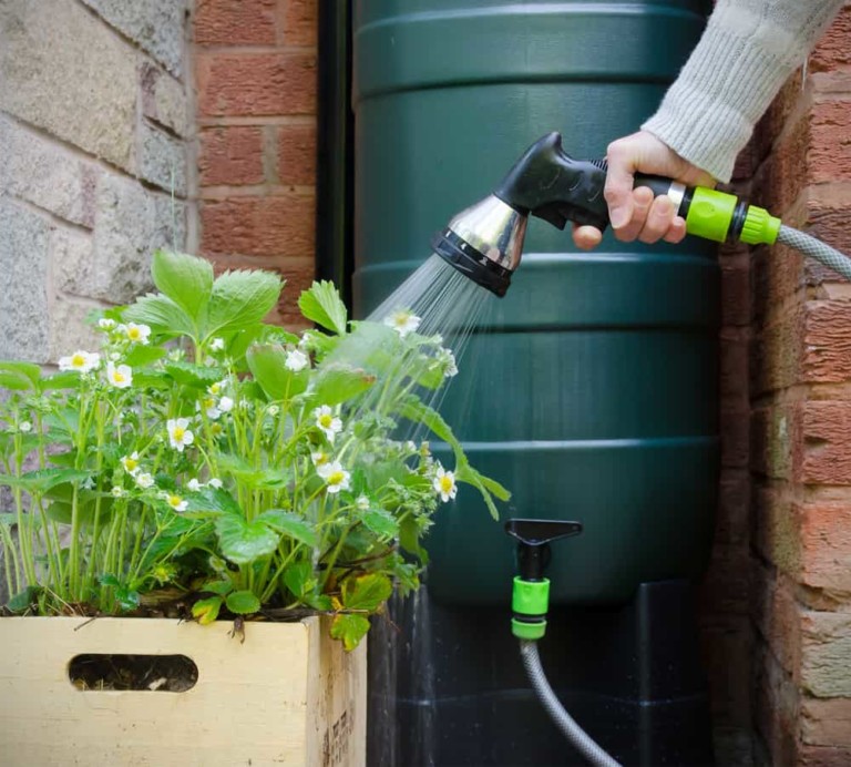 Master Rainwater Collection: 8 Easy DIY Ideas You Need to Try