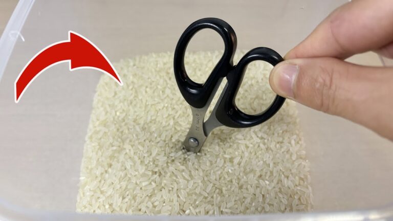 Discover 5 Genius Uses for Scissors in Rice That Solve Everyday Problems!