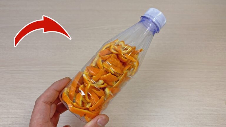 8 Genius Uses for Orange Peels You’ll Want to Try Today
