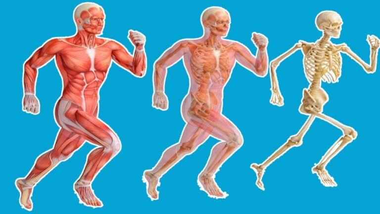 Transform Your Body: 5 Surprising Benefits of Running Just 5 Minutes a Day!