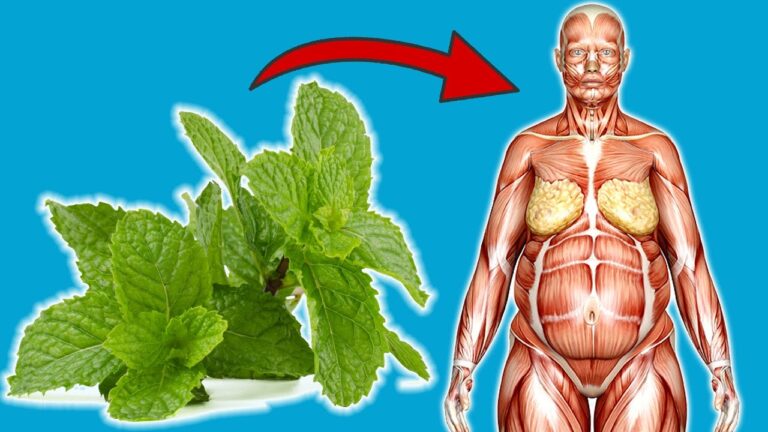 7 Surprising Benefits of Eating Mint Daily You Need to Know!