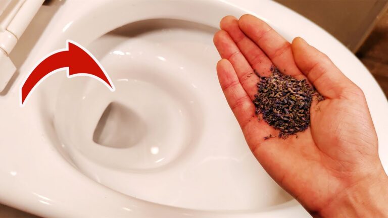 Eliminate 10 Unpleasant Odors in Seconds with This Surprising Toilet Trick!