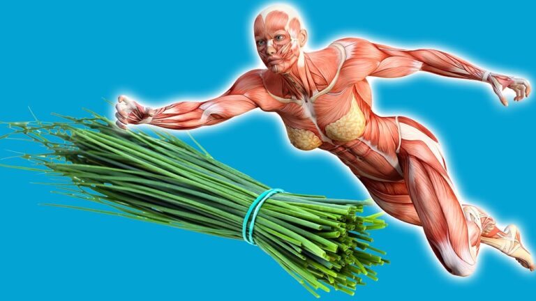 7 Surprising Benefits of Eating Chives Daily You Won’t Want to Miss!