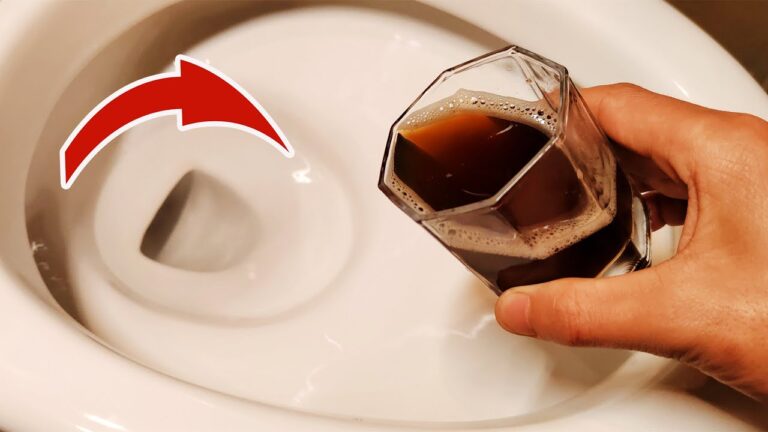 Transform Your Toilet: 5 Surprising Ingredients for a Cleaner Bowl! 🧼✨
