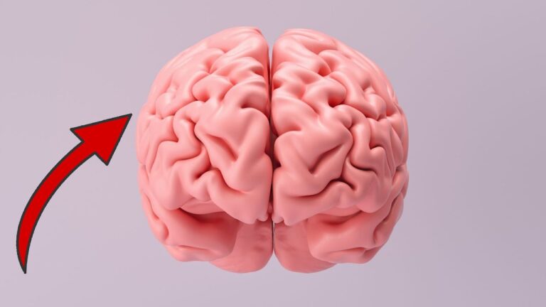 5 Daily Habits That Can Sabotage Your Brain and How to Change Them Today!