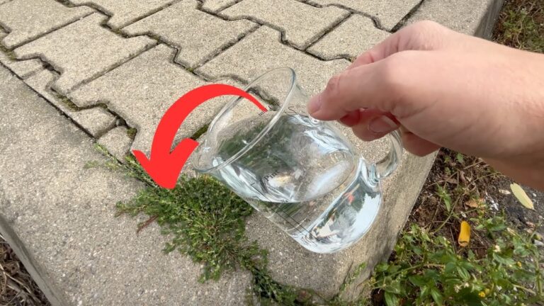 Eliminate 10 Weeds Instantly with This Simple Drop Solution!