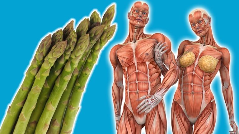10 Surprising Benefits of Eating Asparagus Daily You Need to Know!