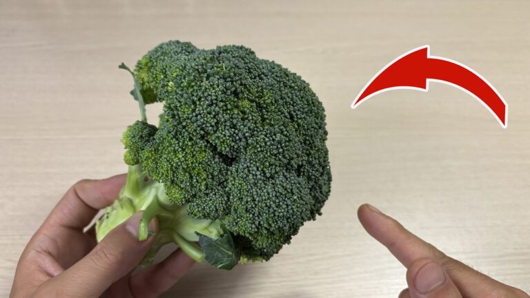 5 Genius Tips for Properly Washing Broccoli and Avoiding Bugs